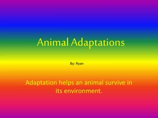 Animal Adaptations