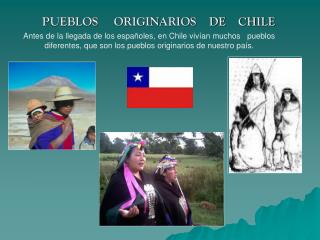 PUEBLOS ORIGINARIOS DE CHILE