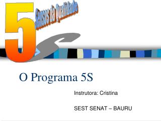 O Programa 5S