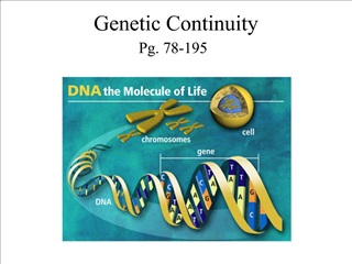 Genetic Continuity