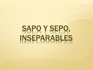 Sapo y Sepo , inseparables