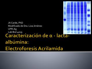 Caracterización de α - lacta-albúmina : Electroforesis Acrilamida