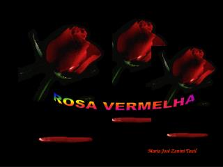 ROSA VERMELHA