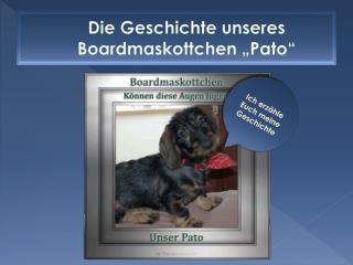 Die Geschichte unseres Boardmaskottchen „ Pato “