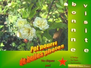 bonnne visite