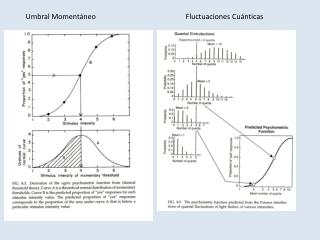 Umbral Momentáneo			Fluctuaciones Cuánticas