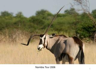 Namibia Tour 2006