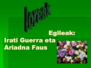 Egileak: Irati Guerra eta Ariadna Faus