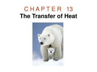 C H A P T E R   13 The Transfer of Heat