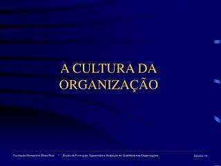 A CULTURA DA ORGANIZAÇÃO