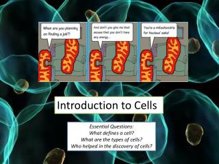 Introduction to Cells