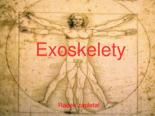 Exoskelety