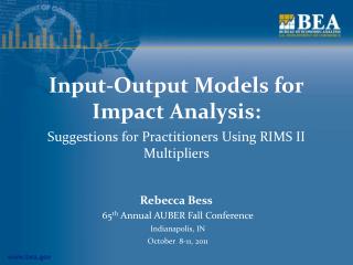 Input-Output Models for Impact Analysis: