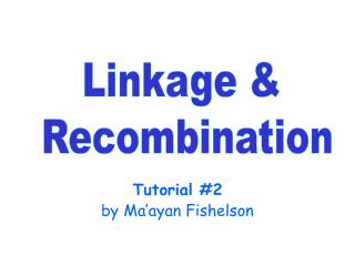 Tutorial #2 by Ma’ayan Fishelson
