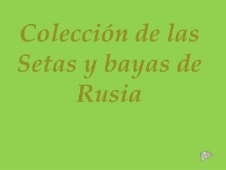 Colección de las Setas y bayas de Rusia