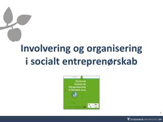 Involvering og organisering i socialt entreprenørskab