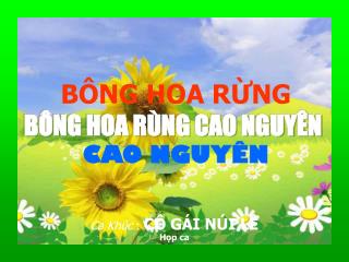 Hình Ảnh từ INTERNET