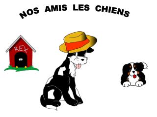 NOS AMIS LES CHIENS