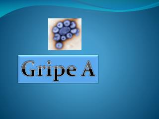 Gripe A