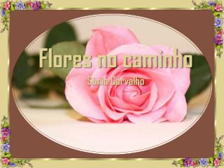 Flores no caminho Sônia Carvalho
