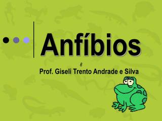 Anfíbios