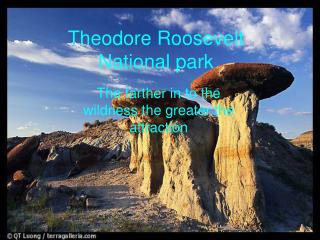 Theodore Roosevelt National park