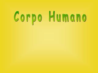 Corpo Humano