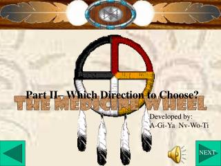 The Medicine Wheel