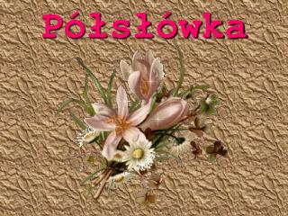 Półsłówka