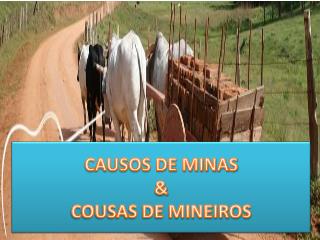 CAUSOS DE MINAS &amp; COUSAS DE MINEIROS