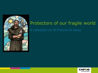 Protectors of our fragile world A reflection on St Francis of Assisi