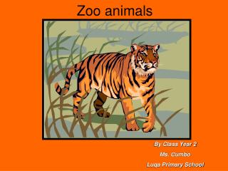 Zoo animals