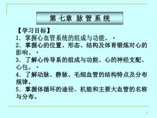 【 学习目标 】 1 ．掌握心血管系统的组成与功能。 2 ．掌握心的位置、形态、结构及体育锻炼对心的影响。 3 ．了解心传导系的组成与功能、心的神经支配、心包。