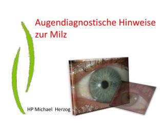 Augendiagnostische Hinweise zur Milz