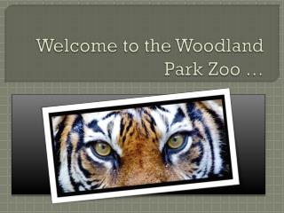 Welcome to the Woodland Park Zoo …