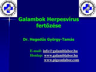 Galambok Herpesvírus fertőzése