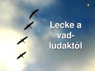 Lecke a vad-ludaktól