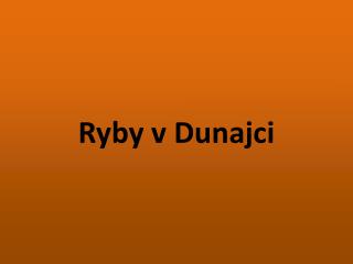 Ryby v Dunajci