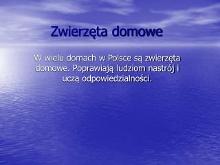 Zwierzęta domowe