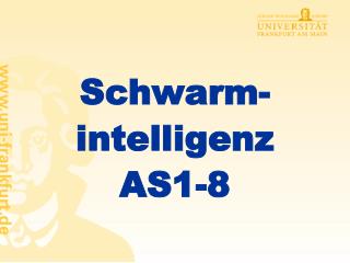 Schwarm-intelligenz AS1-8