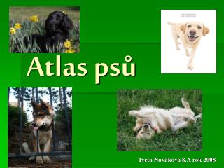 Atlas psů