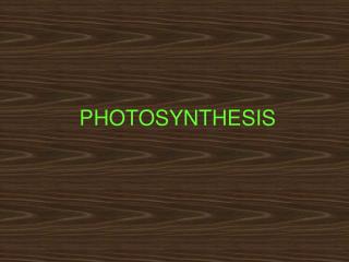 PHOTOSYNTHESIS