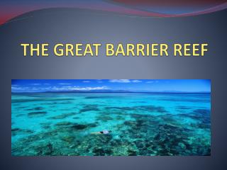 THE GREAT BARRIER REEF