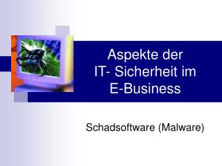 Aspekte der IT- Sicherheit im E-Business