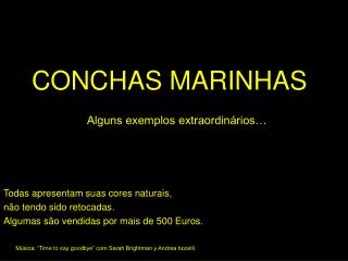 CONCHAS MARINHAS