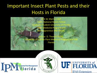 Important Insect Plant Pests and their Hosts in Florida