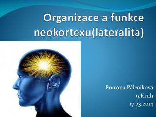 Organizace a funkce neokortexu(lateralita)