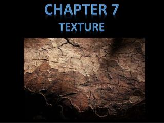 Chapter 7 Texture