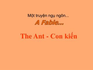 The Ant - Con kiến