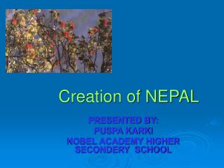 Creation of NEPAL